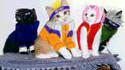 Cosplay animaux