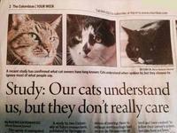 "Nos chats nous comprennent, mais ils s'en foutent !..."