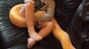 Juste une gamine et son animal de compagnie