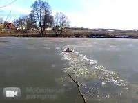 Un homme casse la glace pour sauver son chien