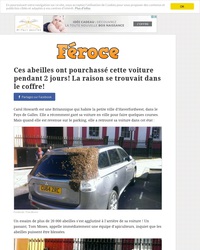 Pourchassée pour une reine !