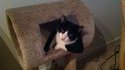 Chat cool