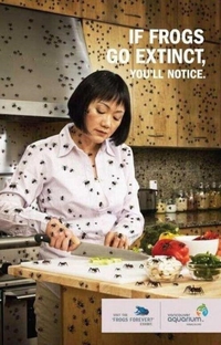 Publicité pour la protection des grenouilles