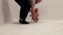 Kan tu veux apprendre à courir à ton fils