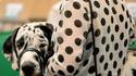 Points noirs sur fond blanc