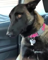 Tu vas avoir un ptit frère !
