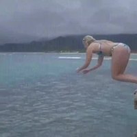Un magnifique plongeon