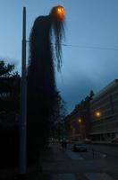 un lampadaire un peu flippant...