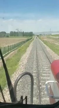 La viande de cheval (baissez le son)