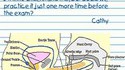 Anatomy