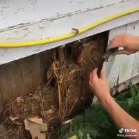 Découverte de vieilles bouteilles d’alcool 
