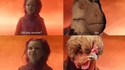 Dinosaures