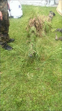 Sniper camouflé