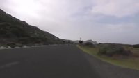 Des cyclistes poursuivis par un p'tit fillot de dinosaure