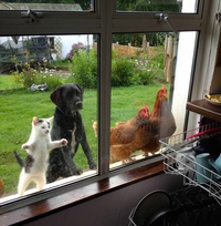 Ça sent bon dans la cuisine