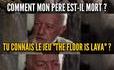 Chat perché