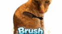 Brush Jjaemu