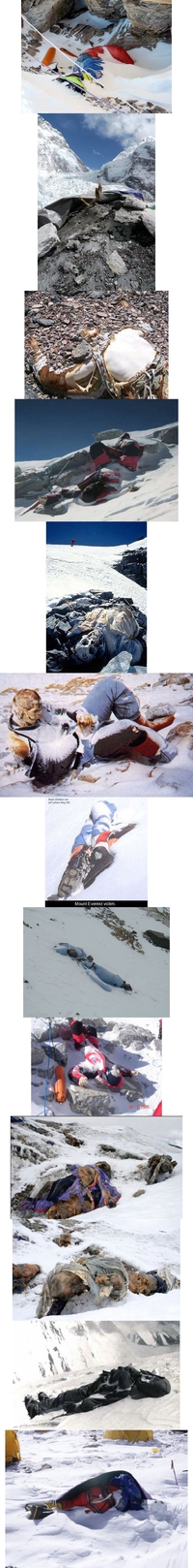 Les victimes de l'Everest