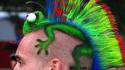 Punk is (not) dead !