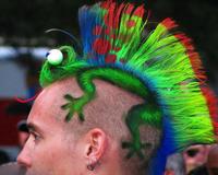 Punk is (not) dead !