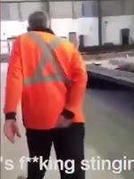 Un collègue très sympa 
