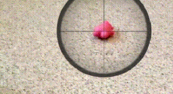 Le Tatou et le sniper