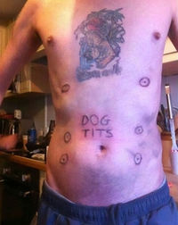 Mamelles de chien