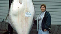 Poisson plat