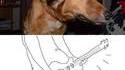 Chien rockeur