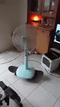 Système de ventilation