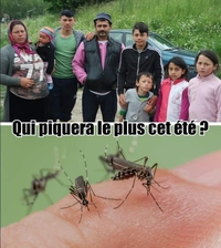 qui piquera les plus cet été ? 