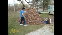 Les feuilles mortes
