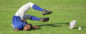 Faceplant