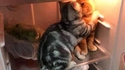 il fait chaud dans ce frigo !