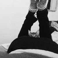 Cat's face