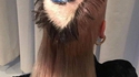 Coiffure sexy
