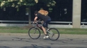 Ils peuvent même faire du vélo !