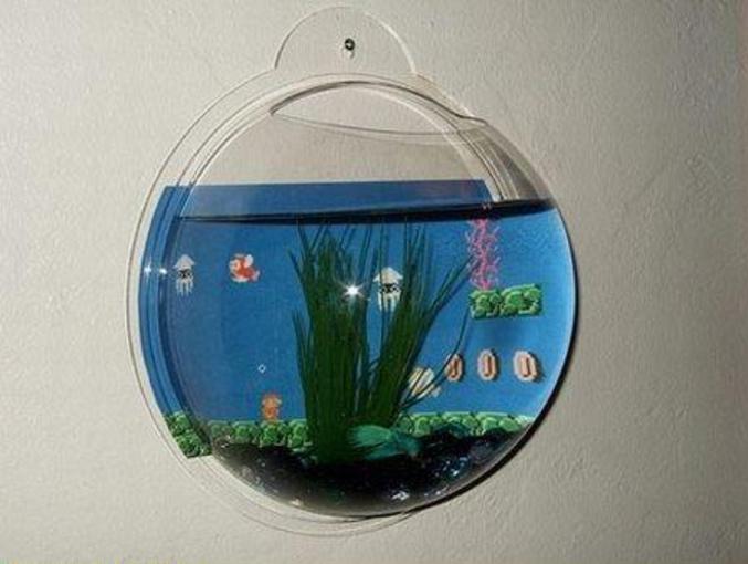 Un aquarium avec un fond Mario.