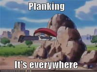 Planking Pokemon