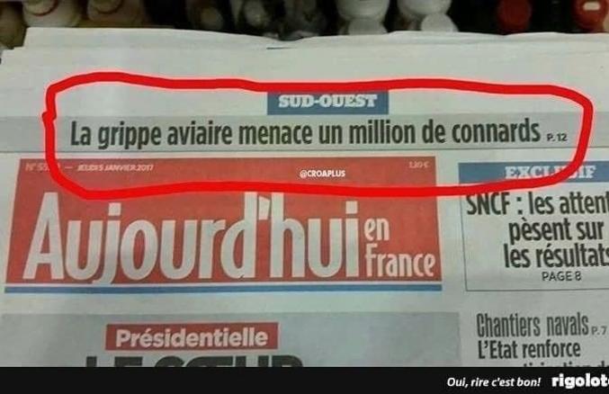 Si seulement ils avaient des ailes....