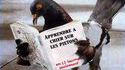 Leçon pour pigeon