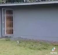 Retrouvaille après son rétablissement 