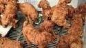 Cuisine du KFC