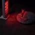 Le paradis des chats