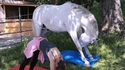 Faire du yoga avec son cheval