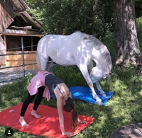 Faire du yoga avec son cheval
