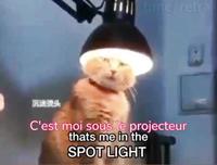Rem mes morts et vous 