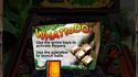 Jungle Quest