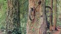 Arbre à vélo