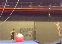 boing boing boing